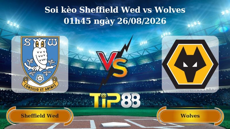 TIP88 Nhận định soi kèo Sheffield Wed vs Wolves 01h45 ngày 26/08/2026 - EFL Cup